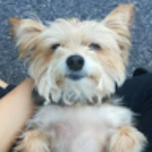 Meet your Posher, Samaira